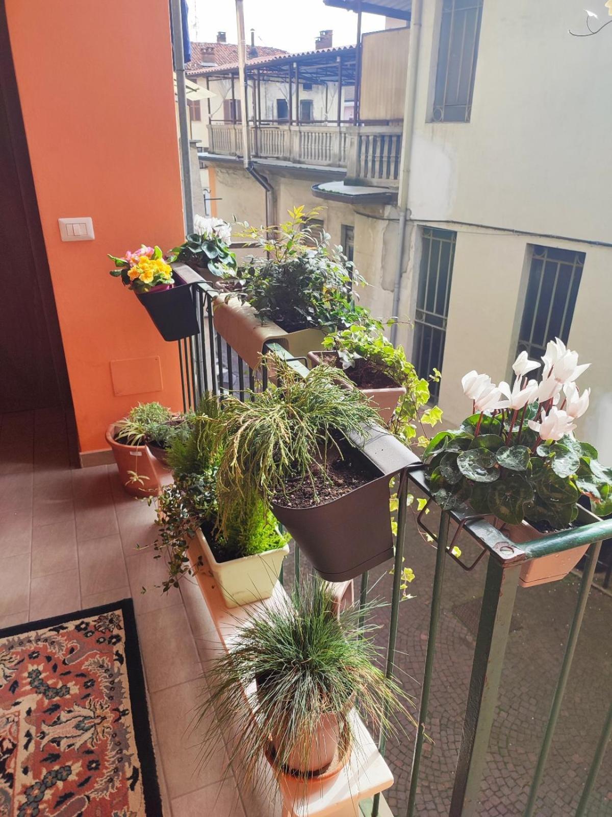Antico Affittacamere Di Tollegno Bagian luar foto